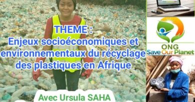 Recyclage des déchets plastiques en Afrique : Enjeux socioéconomiques et environnementaux