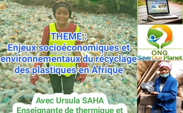 Recyclage des déchets plastiques en Afrique : Enjeux socioéconomiques et environnementaux