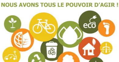 37e édition Journée Nationale de l’Arbre : l’ONG Save Our Planet et ses partenaires ont laissé des empreintes vertes à Parakou