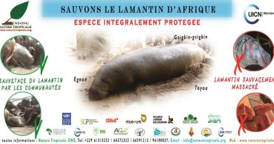 Nature Tropicale Bénin ONG concerte les acteurs pour la sauvegarde communautaire des lamatins d’Afrique