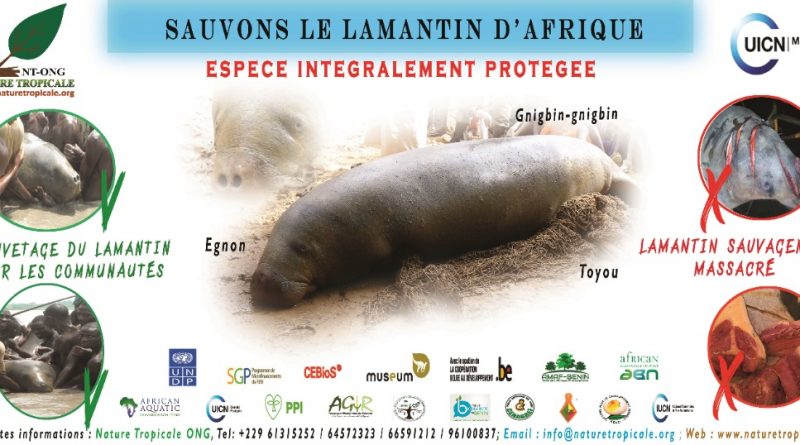 Nature Tropicale Bénin ONG concerte les acteurs pour la sauvegarde communautaire des lamatins d’Afrique