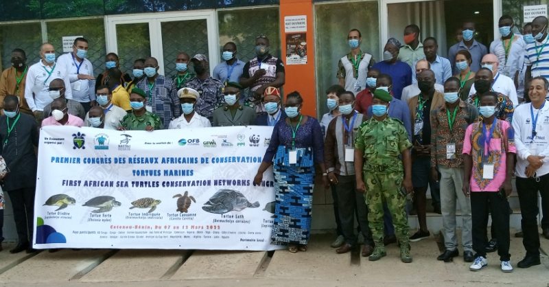 Conservation des tortues marines en Afrique : RASTOMA, WASTCON et NAST-Net en congrès à Cotonou