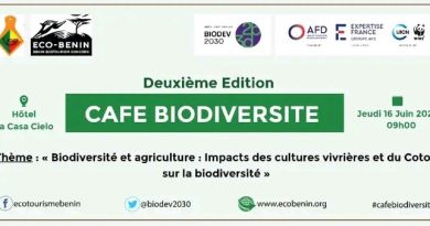 Éco-Bénin ONG et la DGEFC annoncent la 2e édition du « Café Biodiversité »