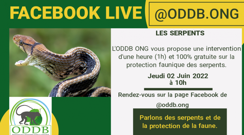 L’ODDB ONG offre un direct Facebook sur les serpents