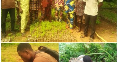 Journée Nationale de l’Arbre au Bénin: l’ODDB ONG plante plus d’une centaine de baobabs au jardin botanique de Bonou