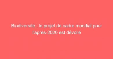 Biodiversité : le projet de cadre mondial pour l’après-2020 est dévoilé