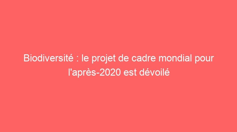 Biodiversité : le projet de cadre mondial pour l’après-2020 est dévoilé