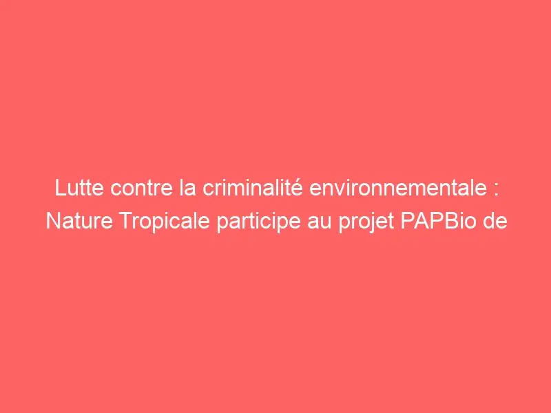 Lutte contre la criminalité environnementale : Nature Tropicale participe au projet PAPBio de l\'UICN-PACO