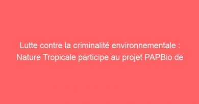 Lutte contre la criminalité environnementale : Nature Tropicale participe au projet PAPBio de l’UICN-PACO