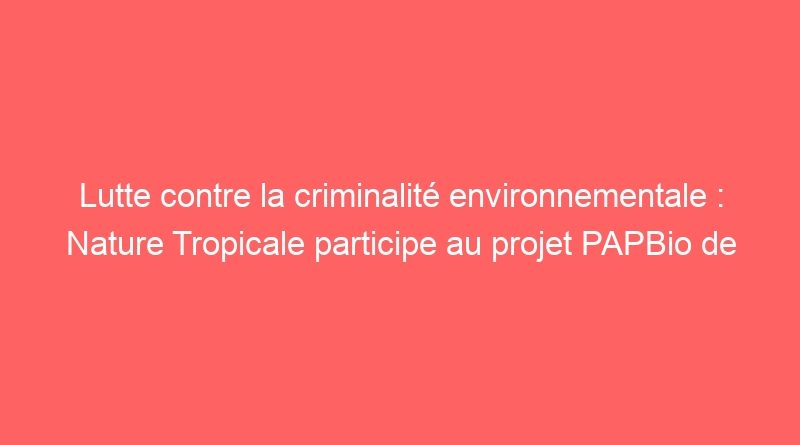 Lutte contre la criminalité environnementale : Nature Tropicale participe au projet PAPBio de l’UICN-PACO