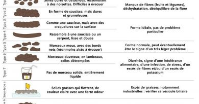 Voici ce que vos selles disent de votre santé