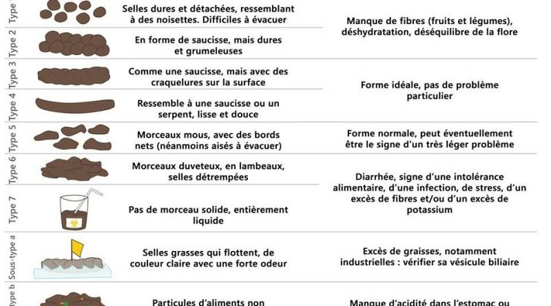 Voici ce que vos selles disent de votre santé