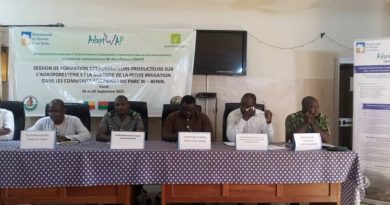 Projet Adapt-WAP au Bénin : Des producteurs à l’école des bonnes pratiques agricoles à Kandi