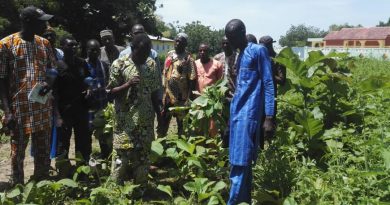 Le reboisement et la régénération naturelle assistée au cœur d’une session de formation du Projet Adapt-WAP à Kandi