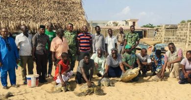 Libération de cinq tortues marines adultes à l’AMP de Donaten à Cotonou