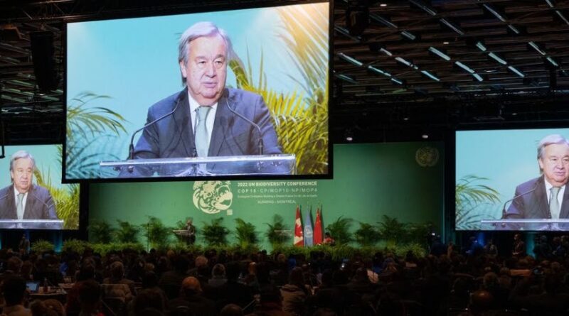 Le cri de détresse de Antonio Guterres SG ONU à l’ouverture de la C0P 15 Biodiversité à Montréal