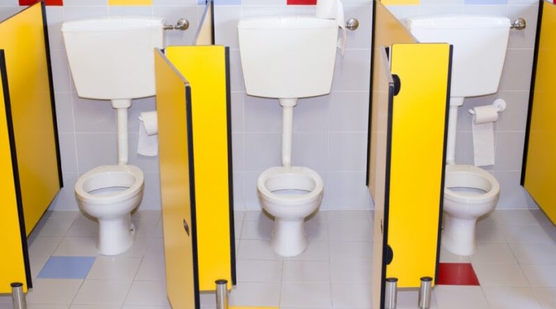 Investir dans les toilettes publiques, un facteur de création d’emplois et de richesse