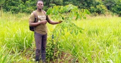 Profil d’Expert : Cyrille Principe ALOWAKINNOU, un professionnel béninois dédié à la préservation des forêts