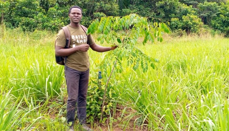 Profil d’Expert : Cyrille Principe ALOWAKINNOU, un professionnel béninois dédié à la préservation des forêts