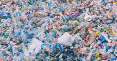 DECHETS PLASTIQUES A PARAKOU: UNE MENACE POUR LA SANTE ET L’ENVIRONNEMENT