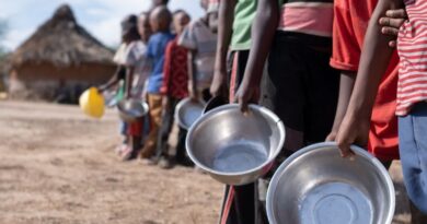 Alerte en Afrique de l’Ouest et Centrale : Insécurité alimentaire au plus haut niveau en une décennie