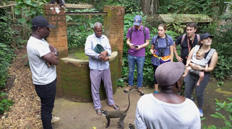 Célébration de la journée internationale des primates : l’ODDB ONG sacrifie à la tradition