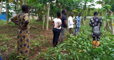 Pratiques agricoles saines : Des visiteurs s’en imprègnent à la Ferme Ecole Cité Bio à Bohicon