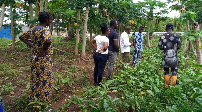 Pratiques agricoles saines : Des visiteurs s’en imprègnent à la Ferme Ecole Cité Bio à Bohicon