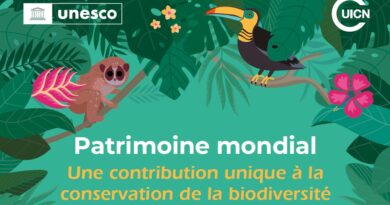 Sites du Patrimoine Mondial de l’UNESCO : Trésors inattendus de biodiversité dans le monde