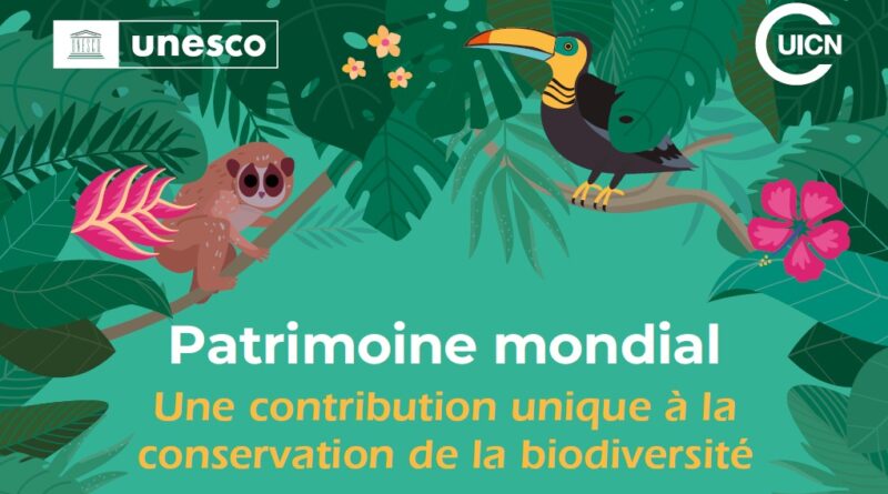 Sites du Patrimoine Mondial de l’UNESCO : Trésors inattendus de biodiversité dans le monde