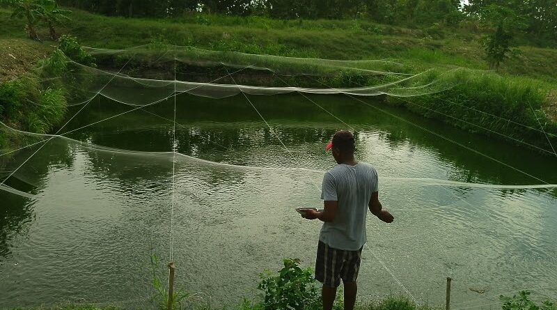 Pisciculture : La vie reprend près du lac Toho au Bénin