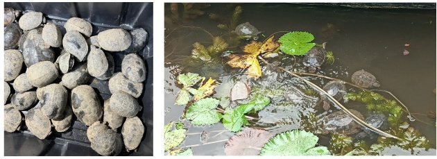 AddText_09-16-09.26.17_1