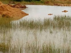 Menace sur une aire marine protégée au Bénin : Un député au cœur de la controverse