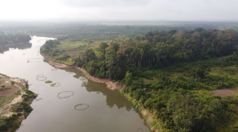 Bénin : La forêt Kpékonzoun retrouve son souffle grâce à un projet innovant