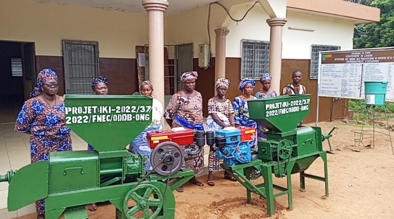 Appui aux femmes transformatrices de noix de palme en huile: ODDB ONG engagée pour l’autonomisation économique à Akpadanou