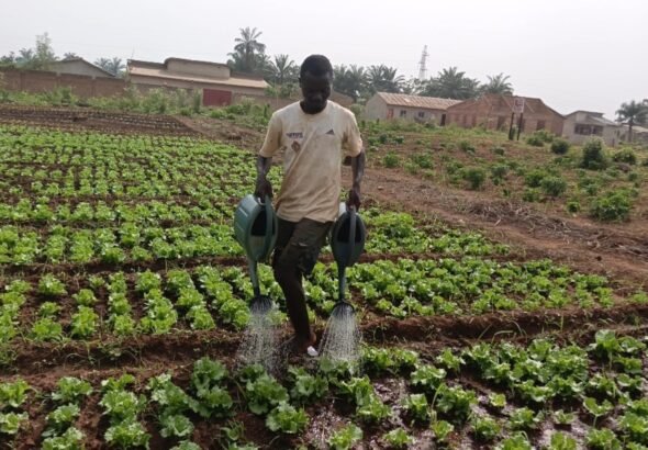 IMG_20260313_095702_290@620570244