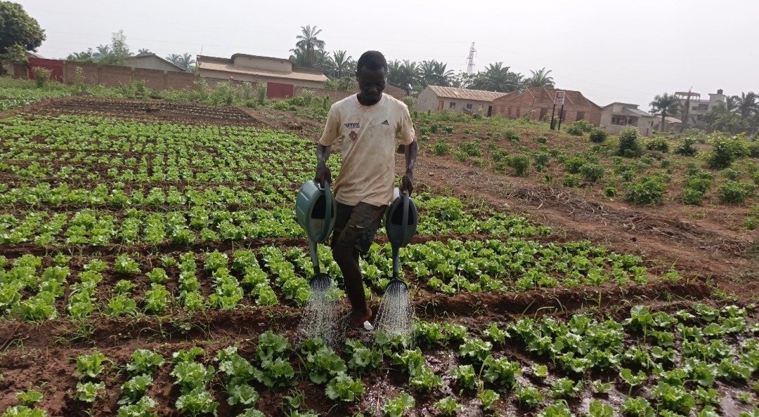 IMG_20260313_095702_290@620570244